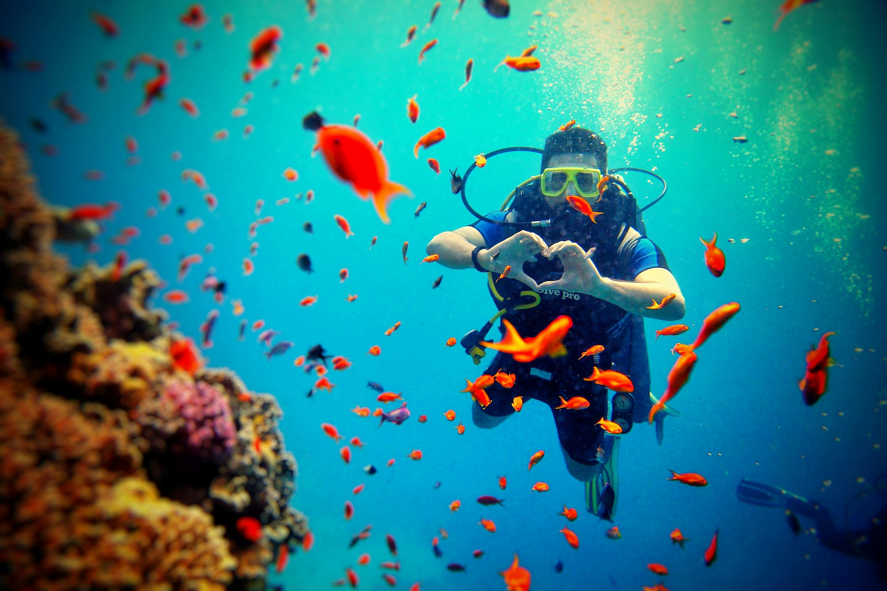 Scuba Diving Hub